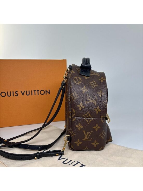 Louis Vuitton Palm Springs Mini Backpack Monogram